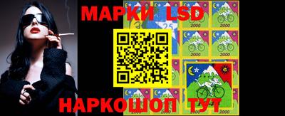 прущие грибы Обнинск